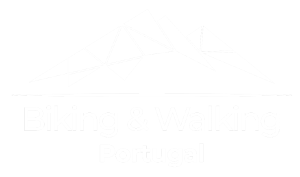 logotipo-BWP-branco-1